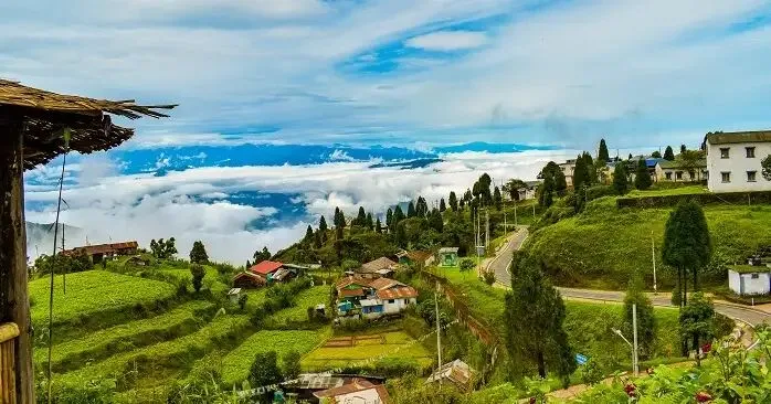 Mesmerizing Darjeeling  