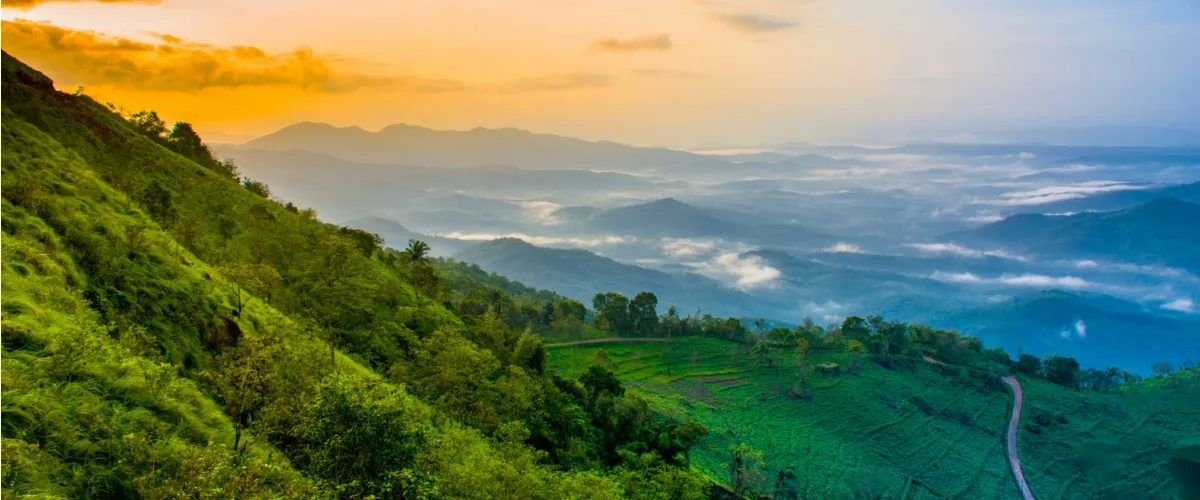 Keralas Hills 