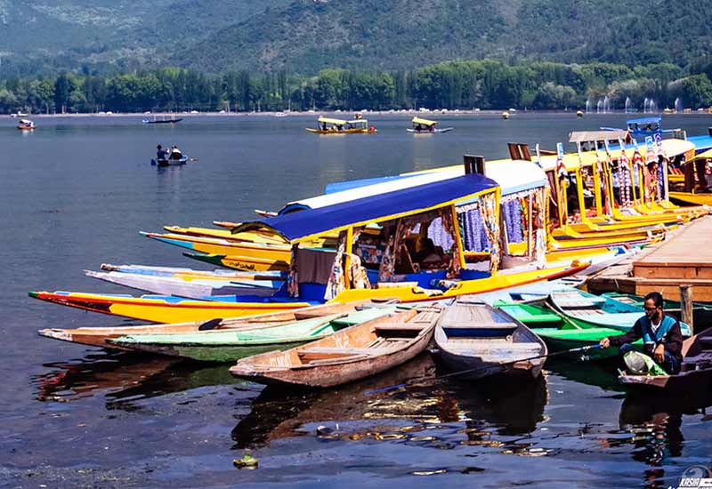 Family Outing to Kashmiri Jewels 