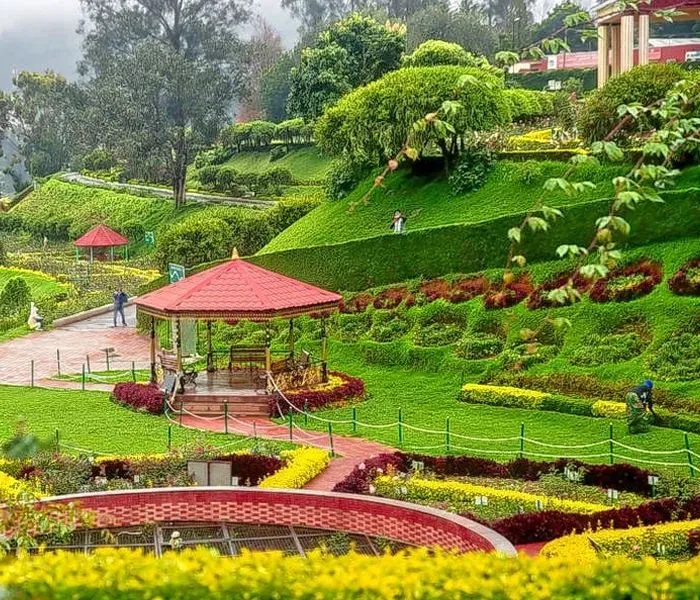 Fantastic Ooty Honeymoon Package 