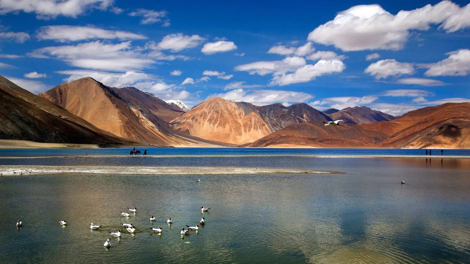 Leh Ladakh with Pangong Lake 